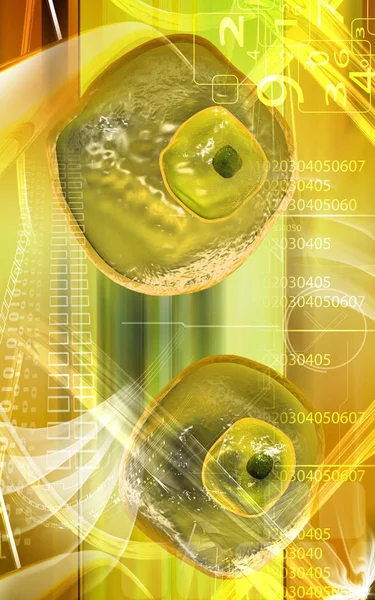 Digital Illustration Äggcellen Färg Bakgrund — Stockfoto