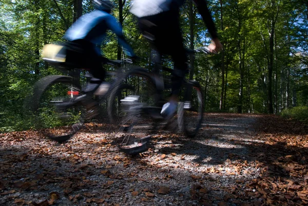 Ποδηλάτες Στο Δάσος — Φωτογραφία Αρχείου