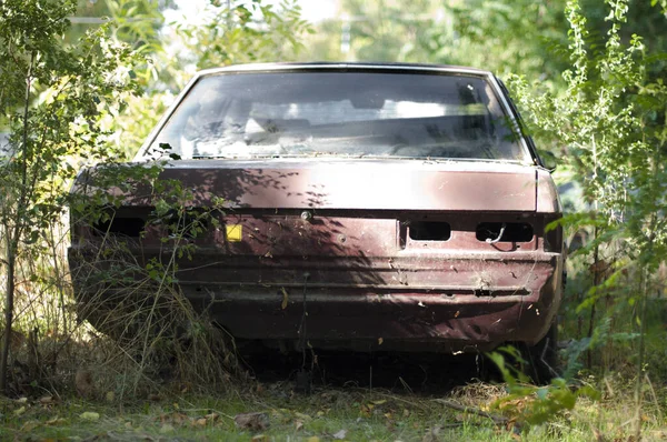 Oude Kapotte Auto Tussen Groene Struiken Bossen — Stockfoto