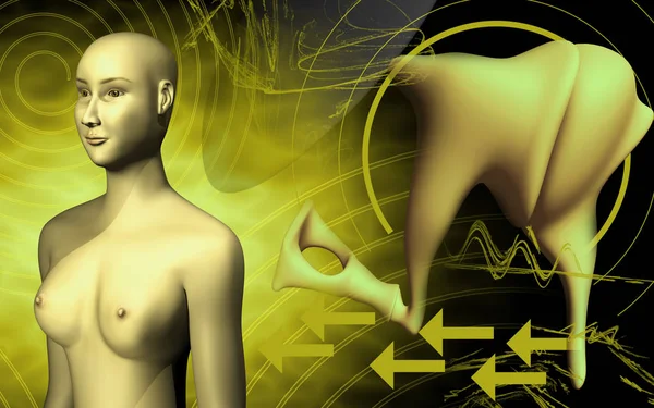 Digitale Illustration Des Gehörs Und Des Menschlichen Körpers Farbigen Hintergrund — Stockfoto