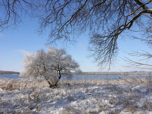 Зима Гафелі — стокове фото