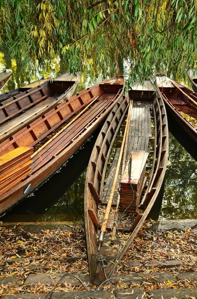 Bingen Rhein Είναι Μια Πόλη Στην Περιοχή Mainz Bingen Στη — Φωτογραφία Αρχείου