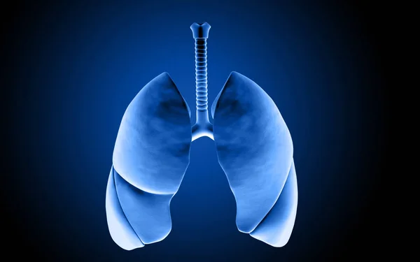 Ilustración Digital Los Pulmones Humanos Fondo Color — Foto de Stock