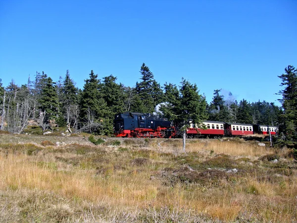 Harzer Schmalspurbahn Harz Narrow Gauge Railway — Zdjęcie stockowe