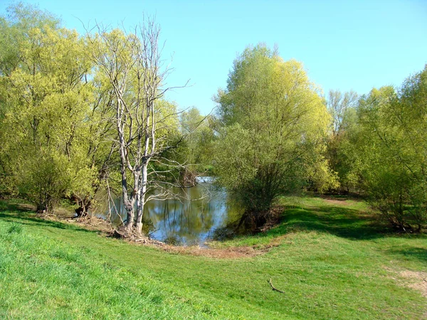 Blick Hinter Dem Nach 1997 Errichteten Damm Ratzdorf Guarda Dietro — Foto Stock