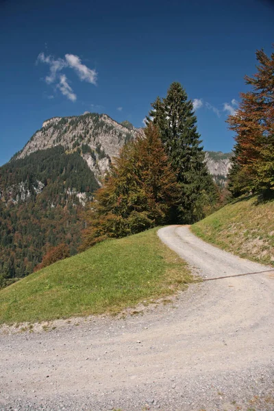 Krzywa Widokiem Góry Dalaas Austria — Zdjęcie stockowe