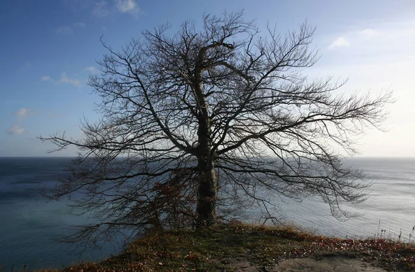 Felsige Klippe Mit Grüns — Stockfoto