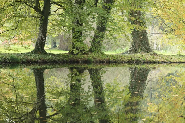 Odraz Vody Podzimním Jezeře — Stock fotografie