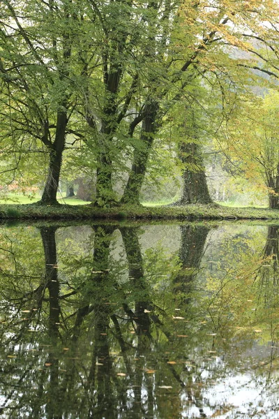 Reflejo Del Agua Otoño Lago — Foto de Stock