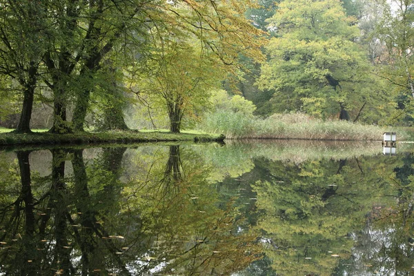 Riflessione Dell Acqua Nel Lago Autunnale — Foto Stock