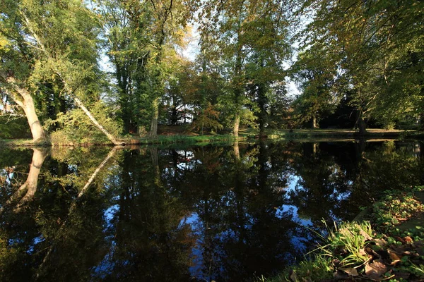 Vacker Dag Och Natur Parken — Stockfoto