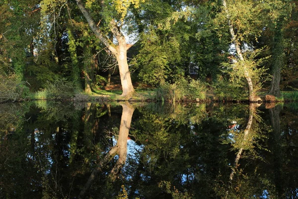 Réflexion Eau Bord Lac — Photo