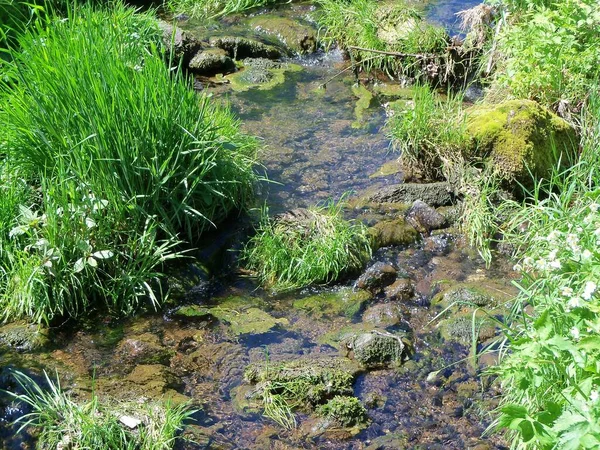 Gyönyörű Kilátás Nyílik Természet Jelenet — Stock Fotó