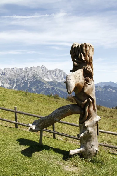 Sculpture Bois Wilden Kaiser — Photo