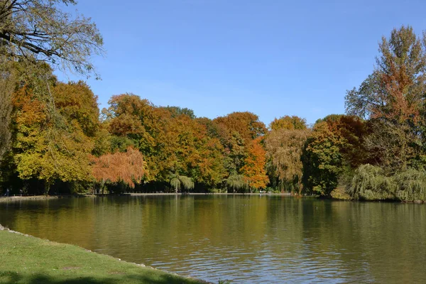 Giornata Autunnale Nel Giardino All Inglese — Foto Stock