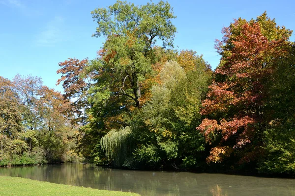 Dans Jardin Anglais — Photo