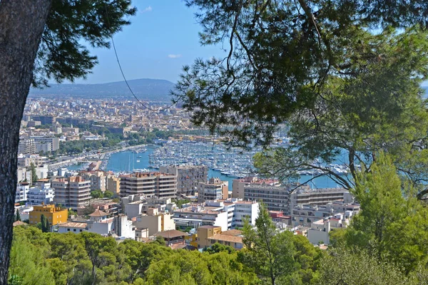 View Palma — Stock Photo, Image