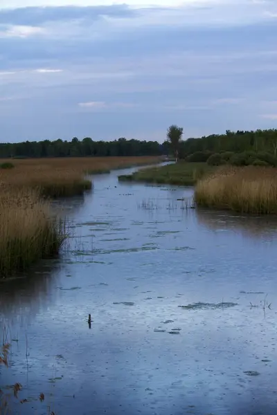 Pittoresk Utsikt Över Naturscenen — Stockfoto