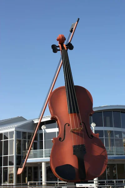 Largest Violin World — Stock Photo, Image