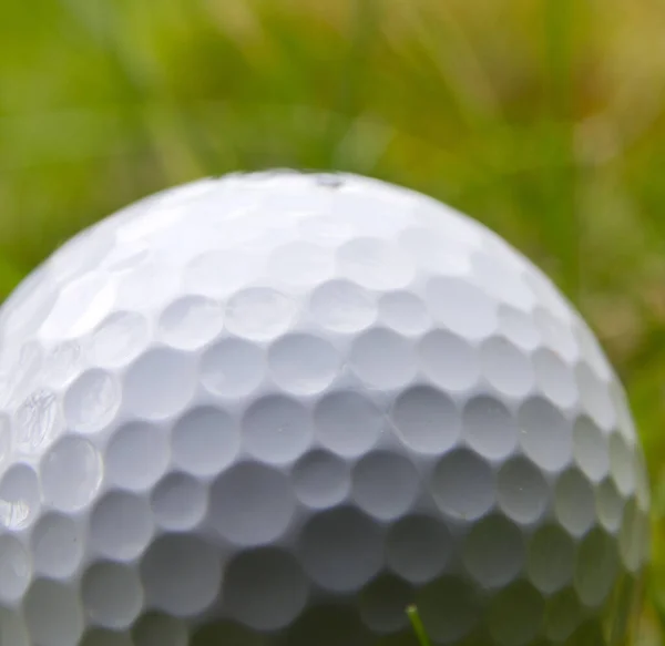 Golfe Esporte Clube Bola Que Jogadores Usam Vários Clubes Para — Fotografia de Stock