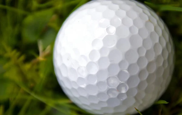 Golf Είναι Ένα Club Ball Αθλητισμού Στο Οποίο Παίκτες Χρησιμοποιούν — Φωτογραφία Αρχείου