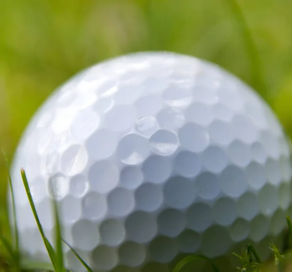 Golf Egy Klub Ball Sport Ahol Játékosok Használják Különböző Klubok — Stock Fotó