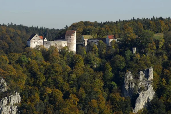 Bovenvallei Van Donau Met Kasteel Wildenstein — Stockfoto