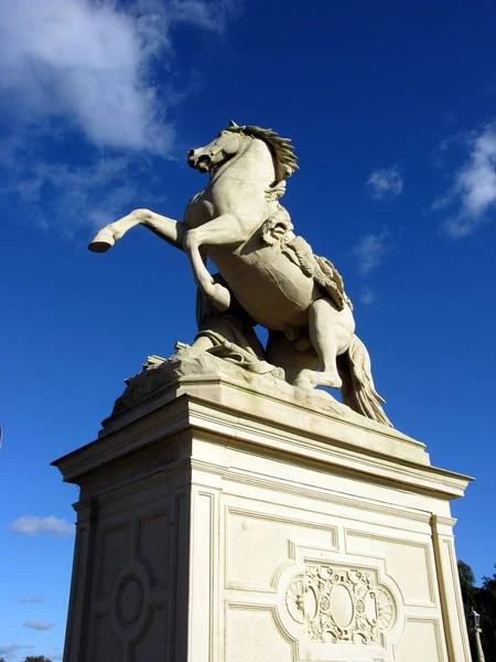 Paardensculptuur Schwerin — Stockfoto