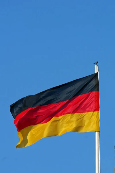 Flagga Förbundsrepubliken Tyskland — Stockfoto