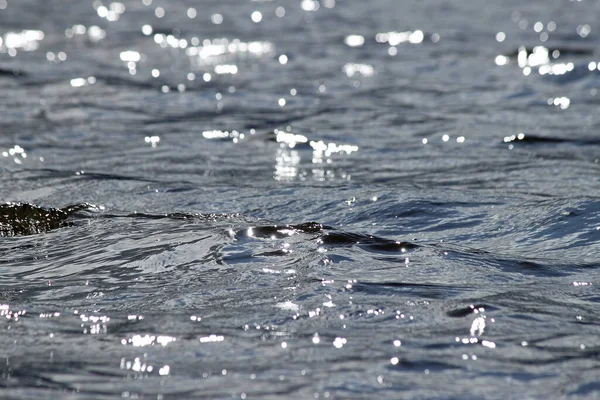 Vagues Mer Sur Plage — Photo