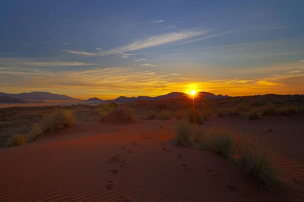 Sonnenuntergang Über Den Buschmännern — Stockfoto