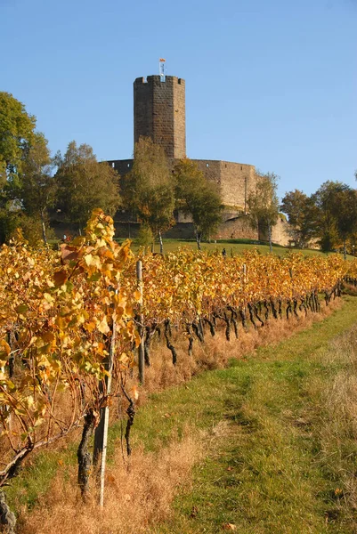 Burg Steinberg Kraichgau — Foto de Stock