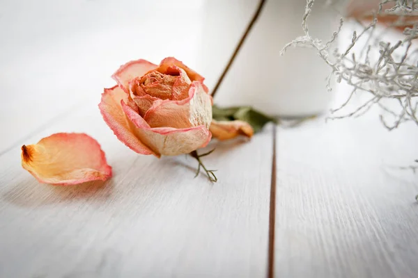 Primer Plano Una Rosa Seca Sobre Fondo Madera Blanca — Foto de Stock