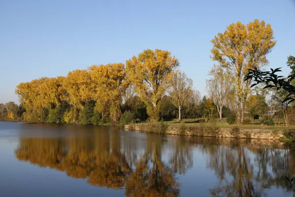 Herfstbomen Bamberg — Stockfoto