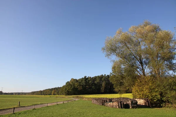 Árboles Otoño Bamberg — Foto de Stock