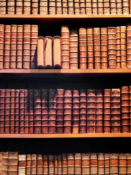 Pilha Livros Biblioteca — Fotografia de Stock