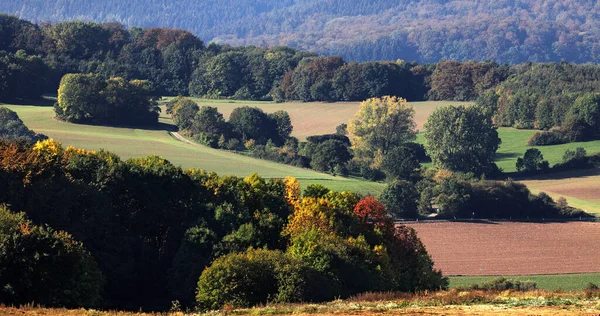 Живописный Вид Красивый Осенний Пейзаж — стоковое фото