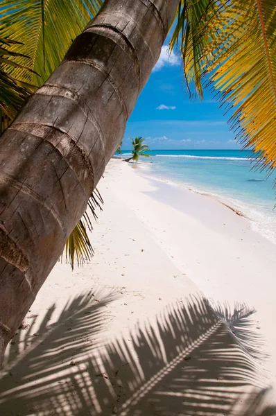 Playa Caribe —  Fotos de Stock