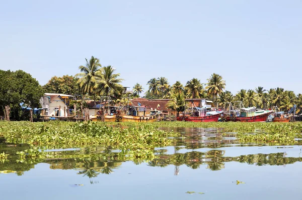 Liggande Horisontell Kerala Fiskebåtar Förtöjd Och Omgiven Hyacint Färgglada Utsiktsplats — Stockfoto