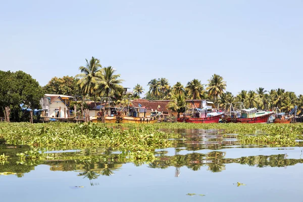 Paysage Prise Horizontale Bateaux Pêche Kerala Amarrés Entourés Piégés Par — Photo