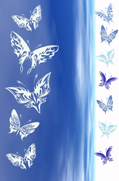 Zblízka Motýla Prostředí Koncept Divokosti — Stock fotografie