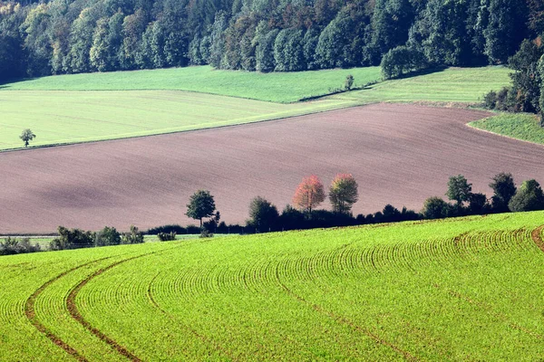 Malebný Pohled Krásnou Podzimní Krajinu — Stock fotografie