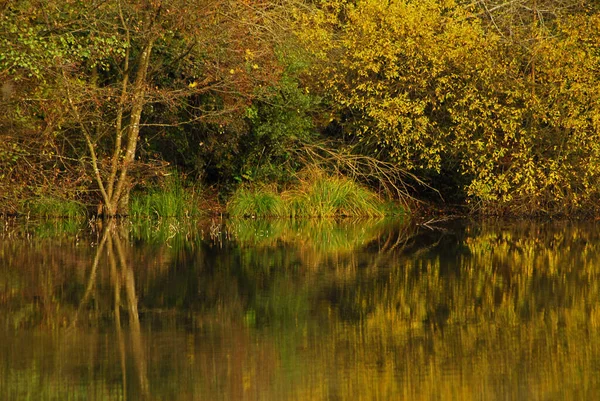 Schöne Aussicht Auf Die Natur — Stockfoto