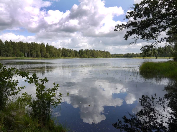 Gyönyörű Kilátás Nyílik Természet Jelenet — Stock Fotó