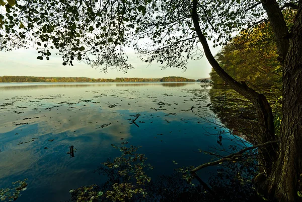 Vista Pitoresca Cena Natureza — Fotografia de Stock