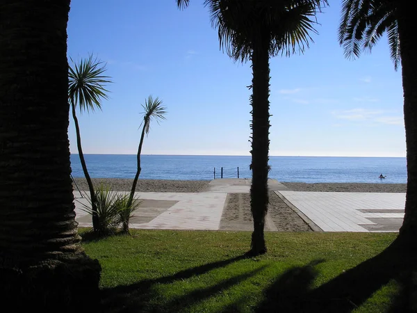 Stranden Stranden Vid Havet Med Palmer — Stockfoto