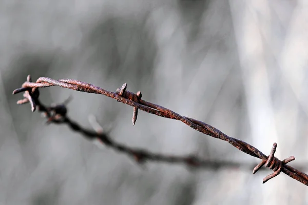 Szögesdrót Zárja Zárja Kizárja — Stock Fotó