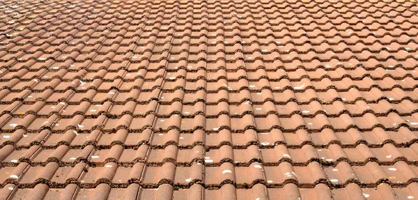 屋顶瓷砖 红色瓷砖 — 图库照片