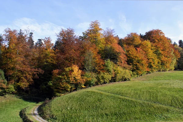 Feuillage Automne Feuilles Saison Automne — Photo