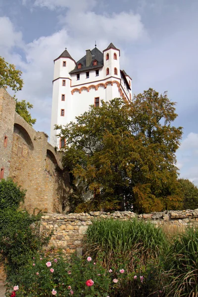 Rheingau Eltville Cuna Del Castillo — Foto de Stock